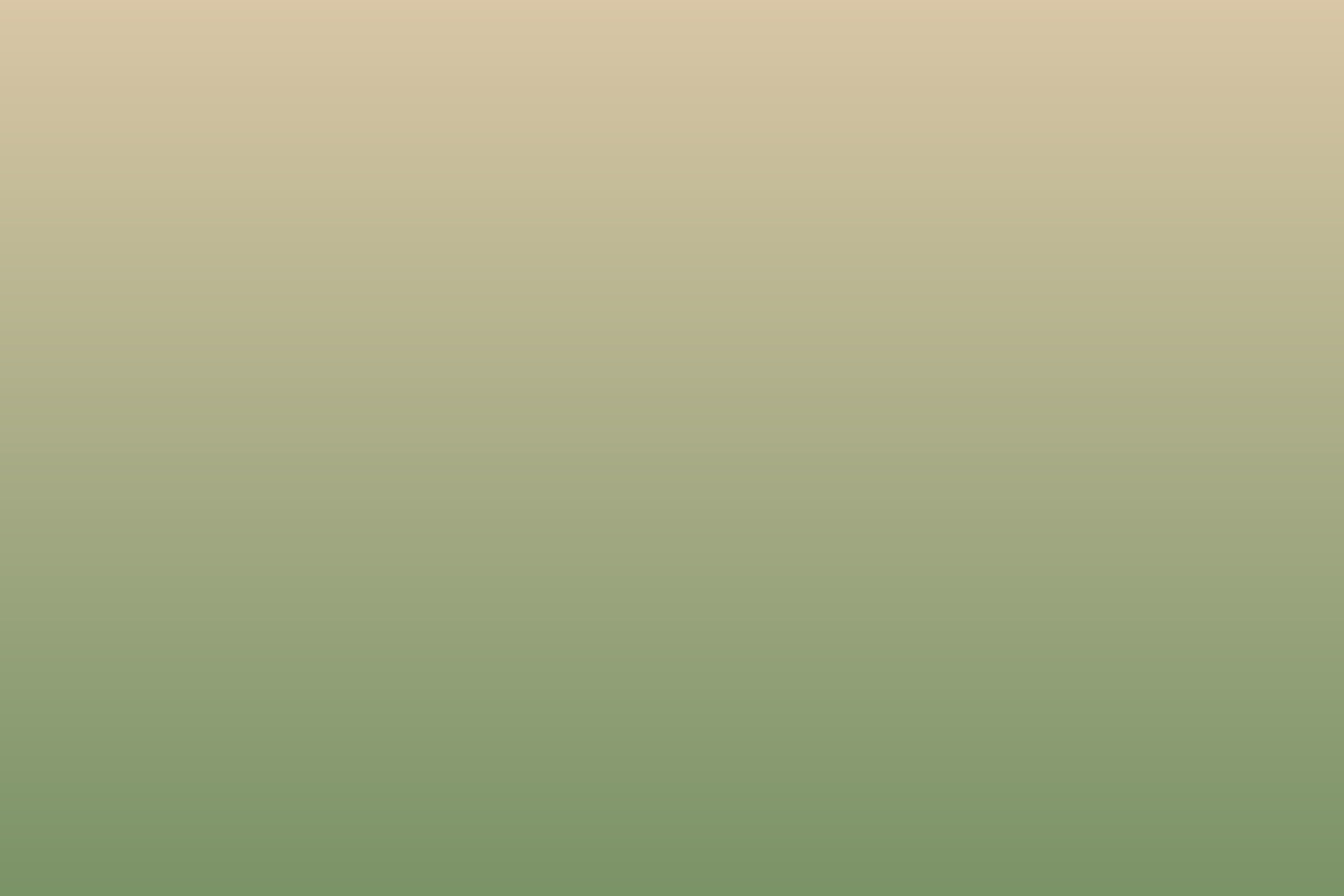 Placeholder: close-up of interior details and textures