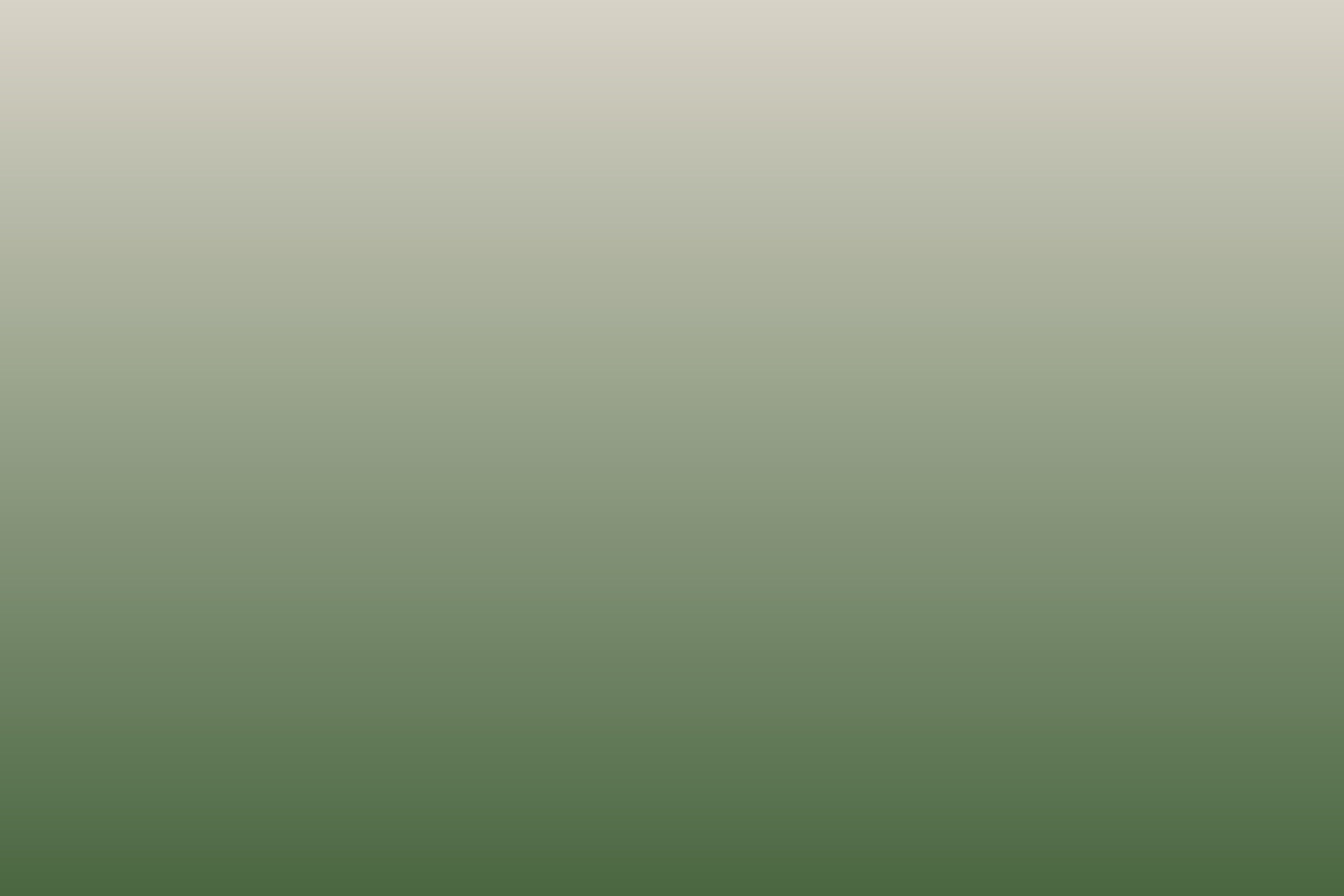 Placeholder: leafy street beside the Company Gardens